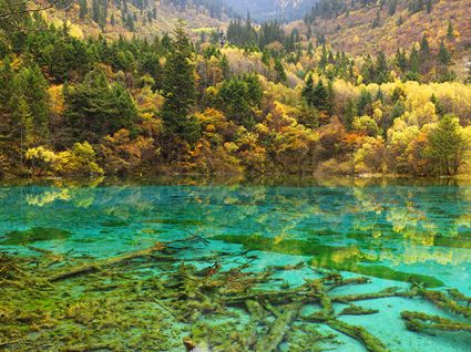 Jiuzhaigou National Park - China SQ (PBH4 00 15428)